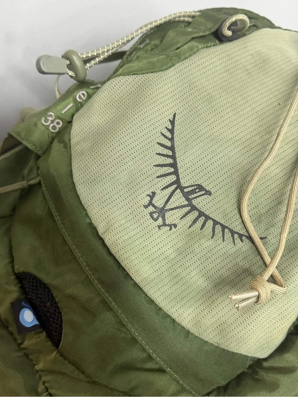 Osprey Kestrel 38 backpack
